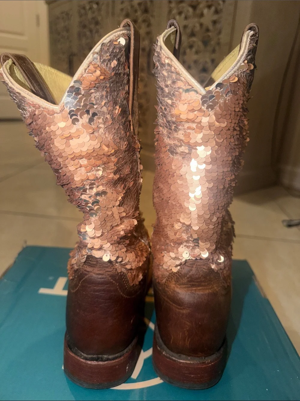 Ariat stylish western
